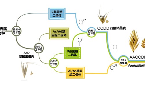 两岁七个月宝宝敏感期网-分享2岁7个月幼儿，二岁七个月会什么知识库
