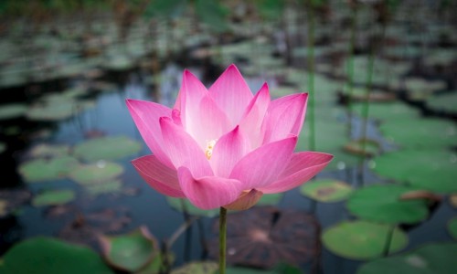 2岁的小孩很聪敏-两岁七个月宝宝敏感期网-分享2岁7个月幼儿，二岁七个月会什么知识库