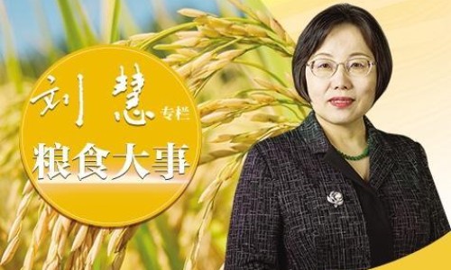 2岁的小孩很聪敏-两岁七个月宝宝敏感期网-分享2岁7个月幼儿，二岁七个月会什么知识库